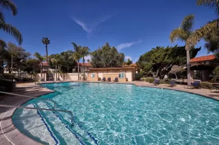 Photo #5: 240003965 Listing 