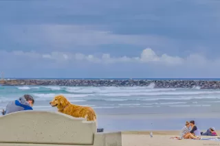 More Details about MLS # 240003989 : 2111 SPRAY ST UNIT 4