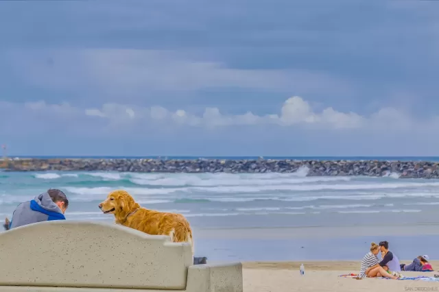 MLS: 240003989 Condo For Sale