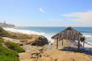 Photo #3: 240004046 Listing