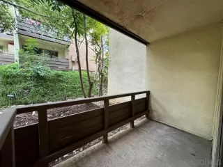 Photo #5: 240004097 Listing 