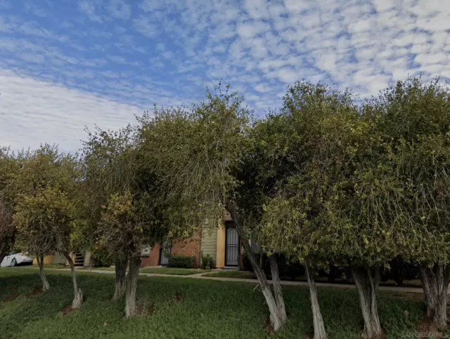 MLS: 240004243 Condo For Sale