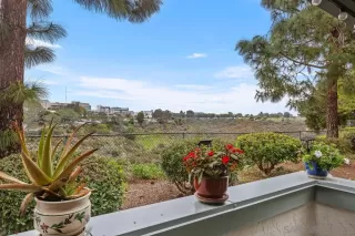 Photo #4: 240004342 Listing