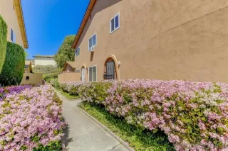 Photo #5: 240004456 Listing