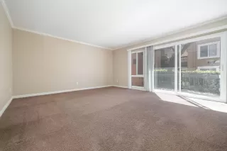 Photo #5: 240004558 Listing