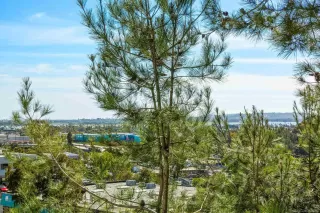 Photo #4: 240004861 Listing