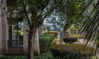 Photo #6: 240004893 Listing