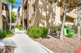 Photo #1: 240004988 Listing