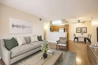 Photo #4: 240004991 Listing 