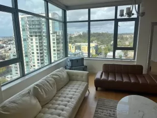 Photo #5: 240005051 Listing