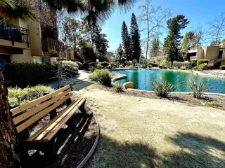 Photo #1: 240005177 Listing