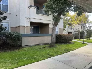 Photo #2: 240005212 Listing