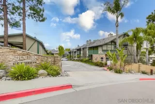 Photo #1: 240005339 Listing 