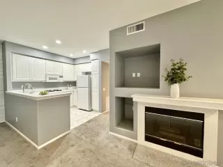 Photo #1: 240005491 Listing