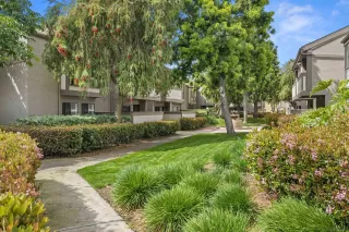 Photo #1: 240005629 Listing