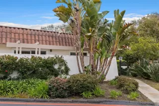 Photo #1: 240005785 Listing 