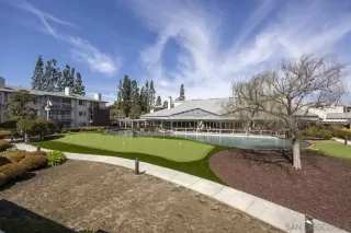 Photo #1: 240006330 Listing 