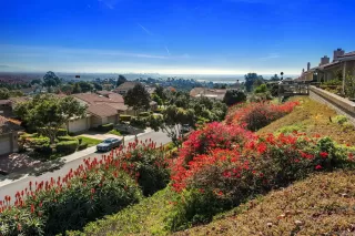 Photo #1: 240006347 Listing