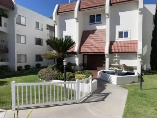 Photo #1: 240006489 Listing 