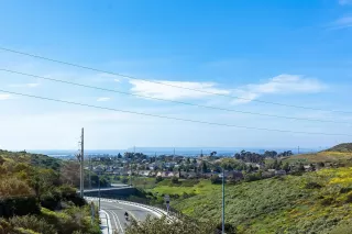 Photo #2: 240006609 Listing