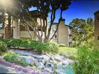 Photo #1: 240006840 Listing