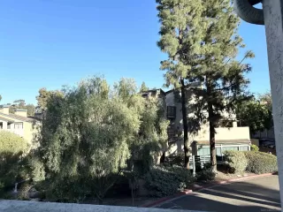 Photo #5: 240006840 Listing