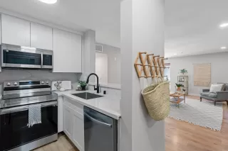 Photo #1: 240006884 Listing 