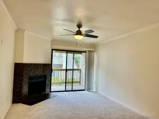 Photo #1: 240007144 Listing 