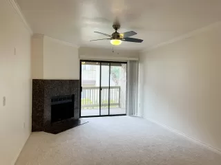 Photo #2: 240007144 Listing 