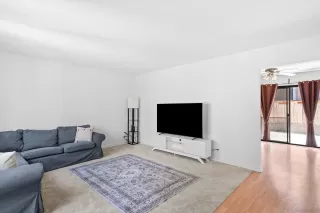 Photo #1: 240007249 Listing 