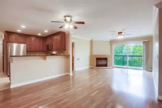 Photo #1: 240007305 Listing 
