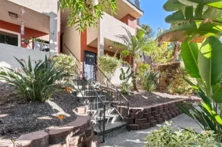 Photo #1: 240007510 Listing