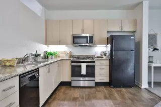 Photo #1: 240007566 Listing 