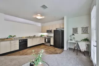 Photo #5: 240007566 Listing 