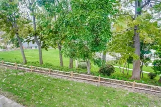 Photo #2: 240007770 Listing