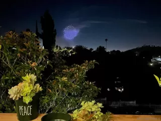 Photo #3: 240007922 Listing