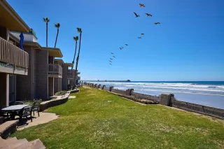 Photo #1: 240007949 Listing 