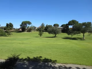 Photo #1: 240007958 Listing