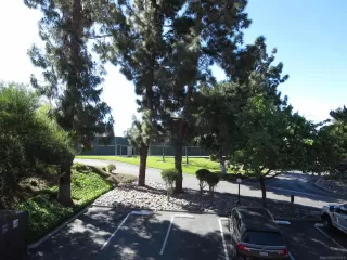 Photo #2: 240007958 Listing