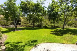 Photo #5: 240007991 Listing 