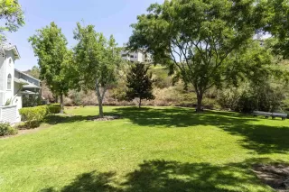 Photo #6: 240007991 Listing 