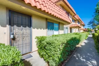 Photo #1: 240008241 Listing