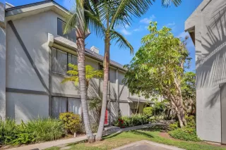 Photo #2: 240008314 Listing