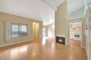 Photo #6: 240008725 Listing