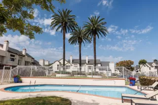 Photo #1: 240008946 Listing 