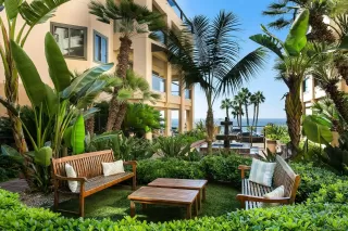 Photo #1: 240009062 Listing 