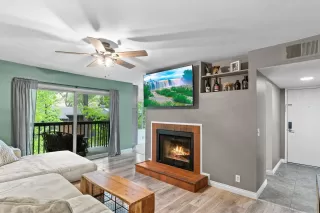 Photo #2: 240009097 Listing 