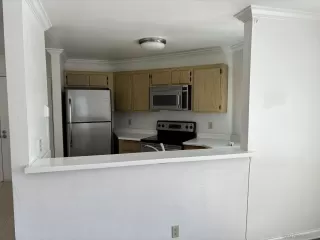 Photo #5: 240009211 Listing