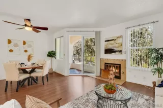 Photo #1: 240009345 Listing 