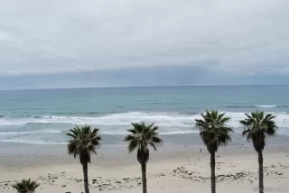 Photo #2: 240009766 Listing